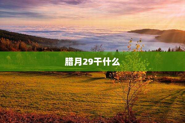 腊月29干什么