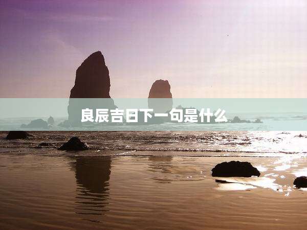 良辰吉日下一句是什么