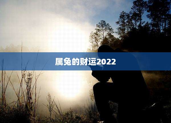 属兔的财运2022