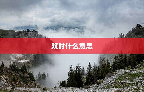 双时什么意思