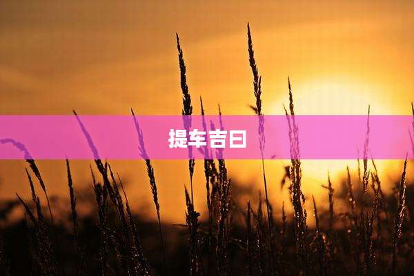 提车吉曰