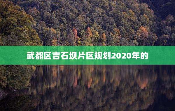 武都区吉石坝片区规划2020年的