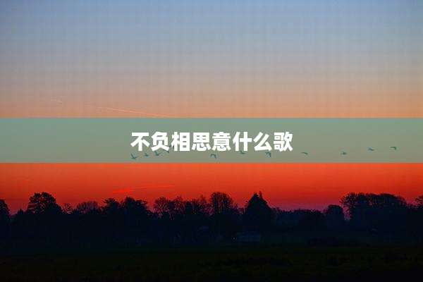 不负相思意什么歌