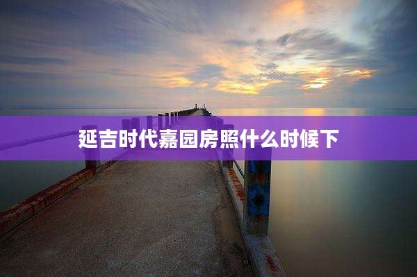 延吉时代嘉园房照什么时候下