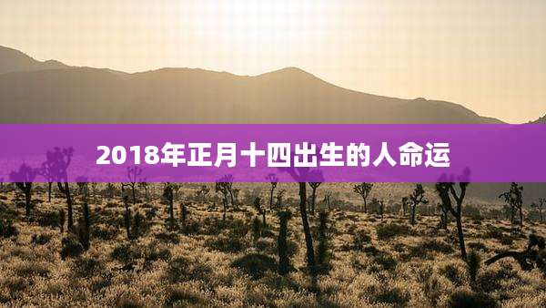 2018年正月十四出生的人命运