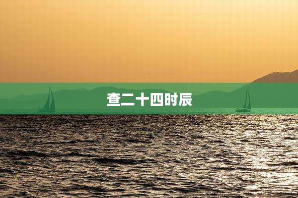 查二十四时辰