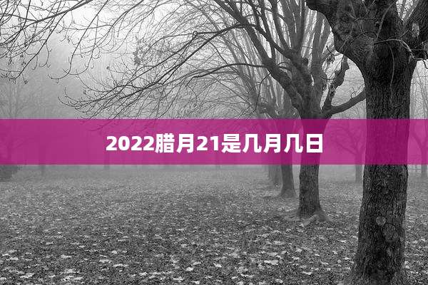 2022腊月21是几月几日
