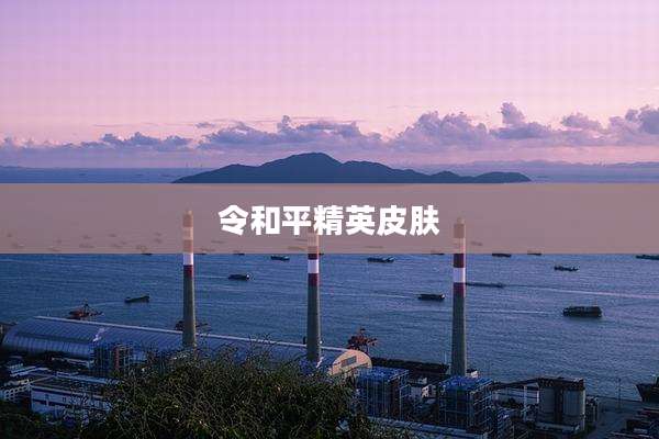 令和平精英皮肤