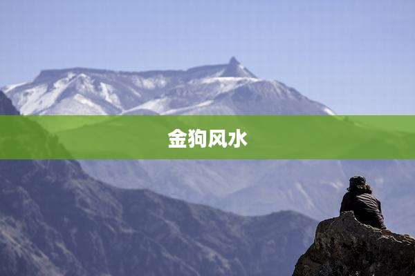 金狗风水