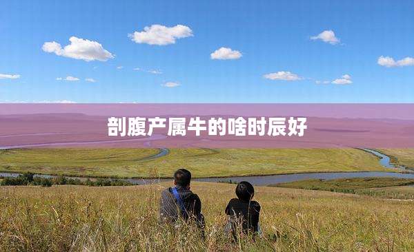 剖腹产属牛的啥时辰好