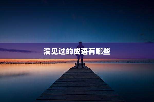 没见过的成语有哪些
