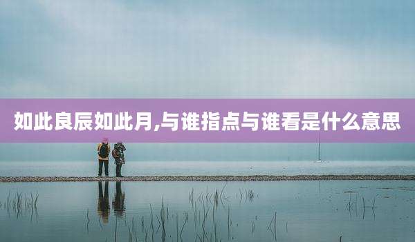 如此良辰如此月,与谁指点与谁看是什么意思
