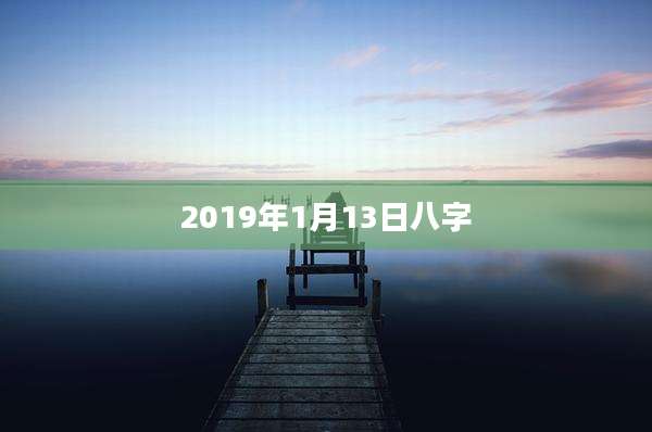 2019年1月13日八字