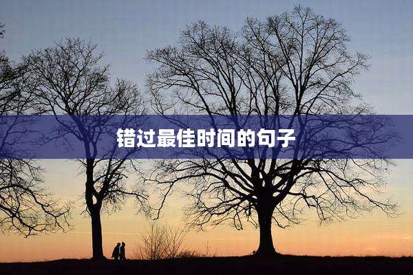 错过最佳时间的句子