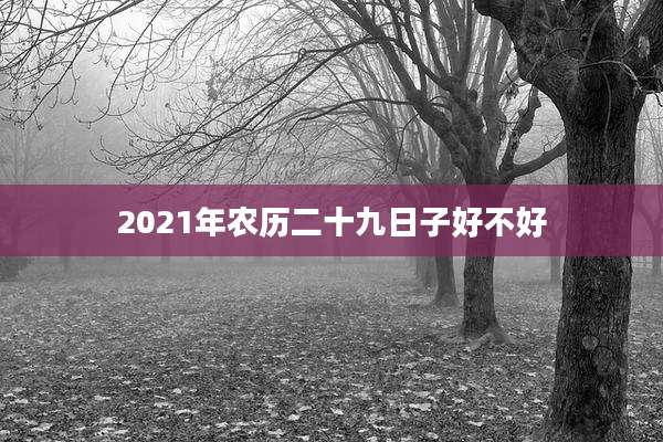 2021年农历二十九日子好不好