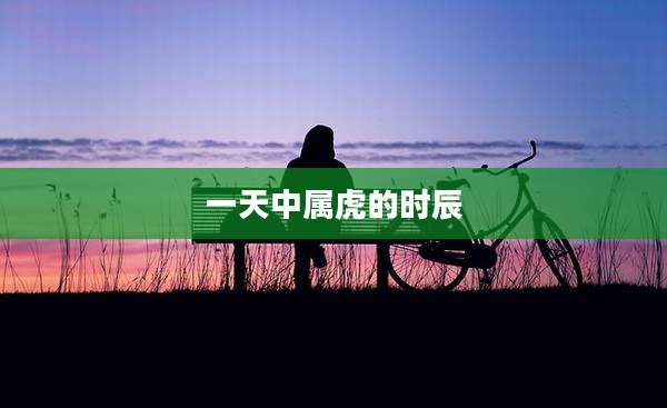 一天中属虎的时辰