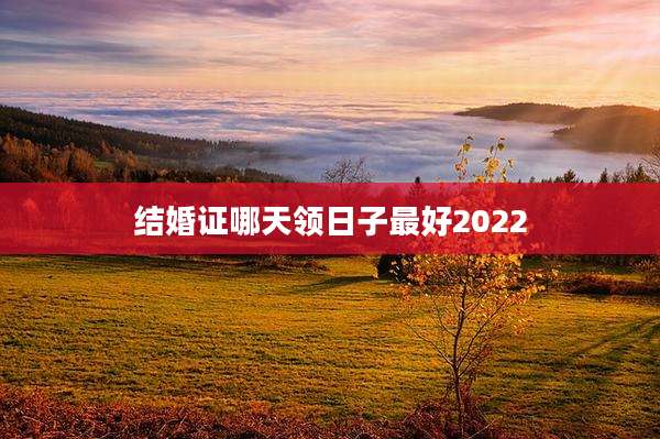 结婚证哪天领日子最好2022