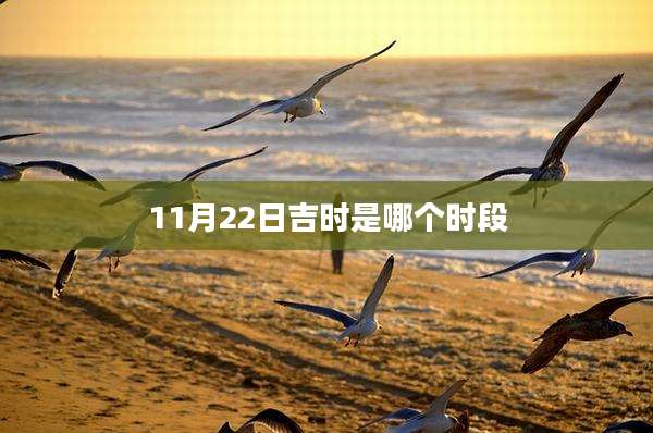 11月22日吉时是哪个时段