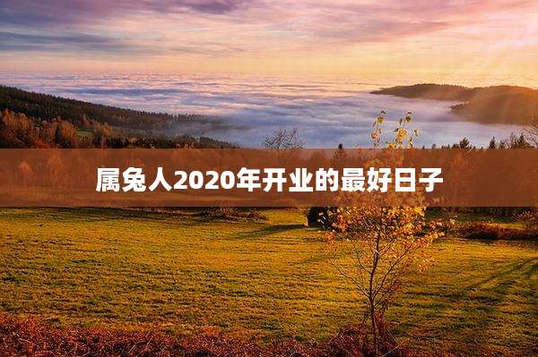 属兔人2020年开业的最好日子