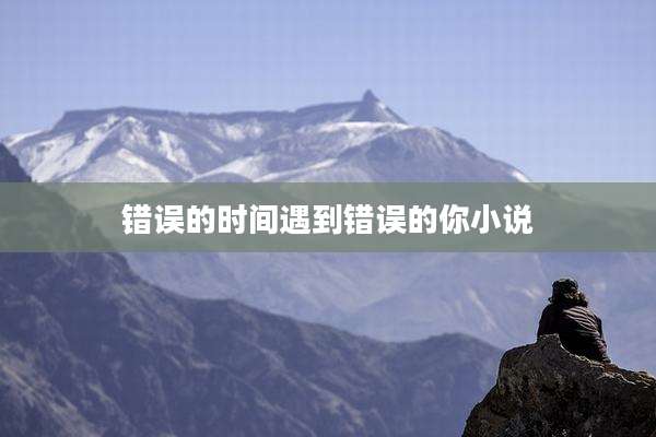 错误的时间遇到错误的你小说