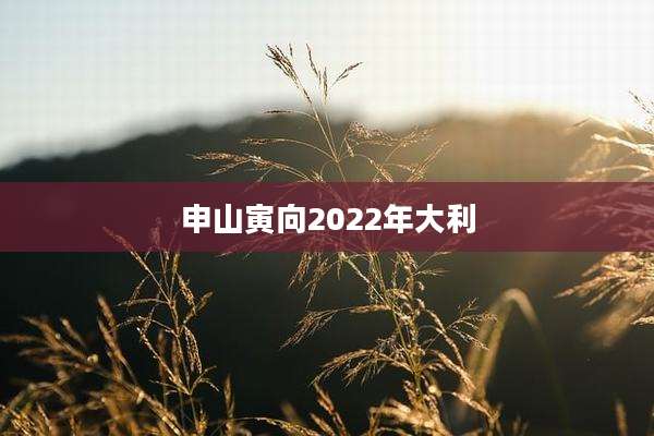 申山寅向2022年大利