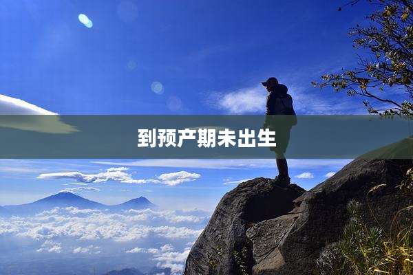 到预产期未出生