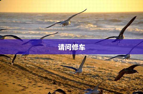 请问修车