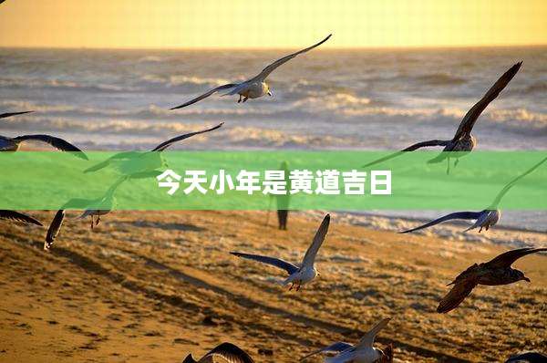 今天小年是黄道吉日