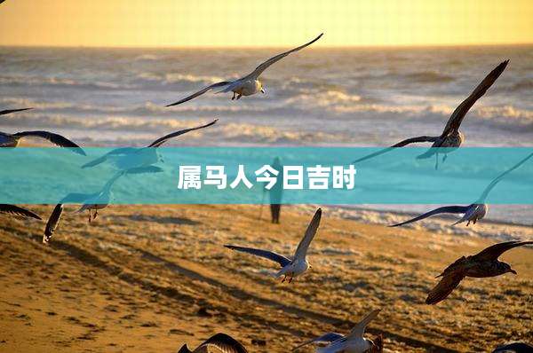 属马人今日吉时