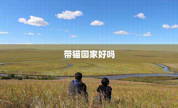 带猫回家好吗