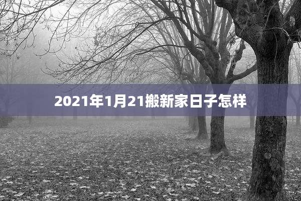 2021年1月21搬新家日子怎样