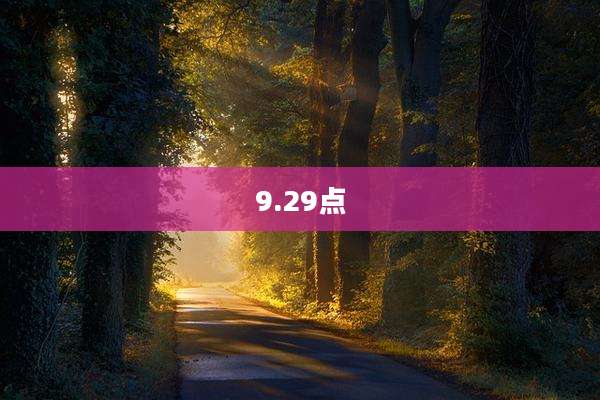 9.29点