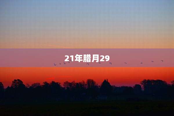 21年腊月29