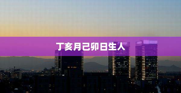 丁亥月己卯日生人