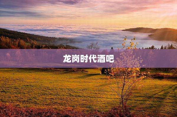 龙岗时代酒吧