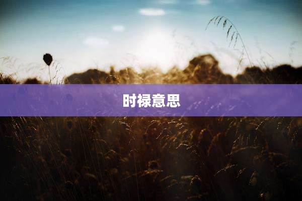 时禄意思