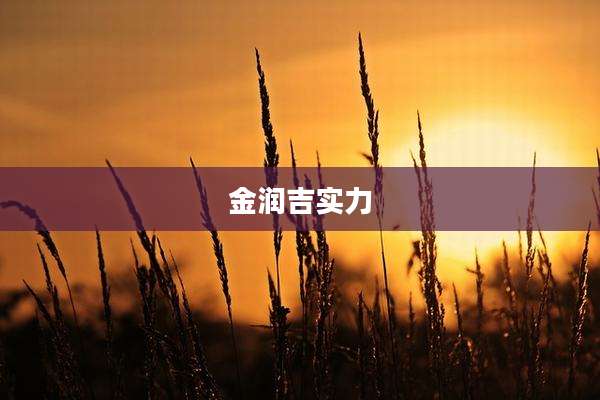 金润吉实力