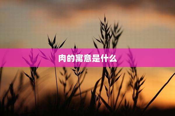 肉的寓意是什么