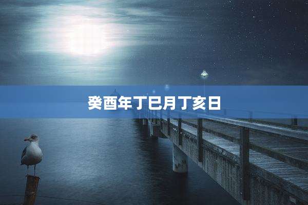 癸酉年丁巳月丁亥日
