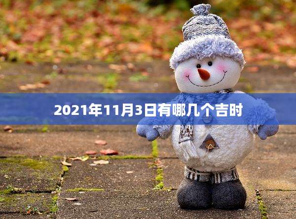 2021年11月3日有哪几个吉时