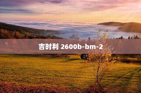 吉时利 2600b-bm-2