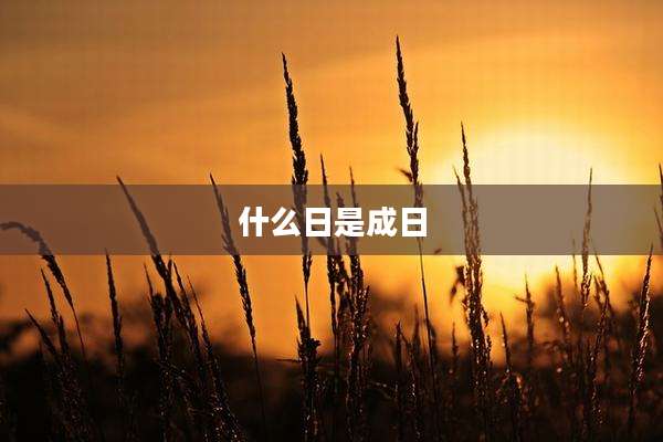 什么日是成日