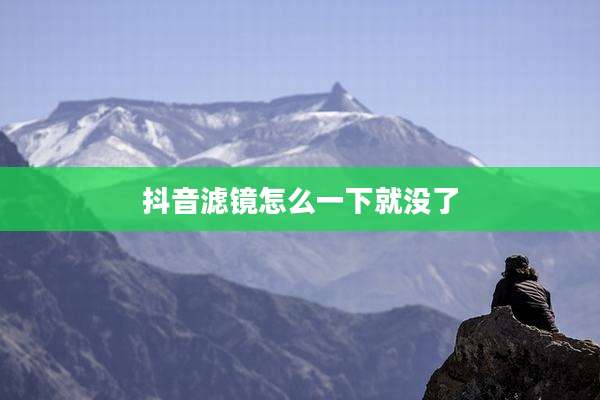 抖音滤镜怎么一下就没了