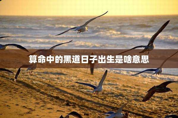 算命中的黑道日子出生是啥意思