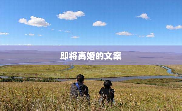 即将离婚的文案