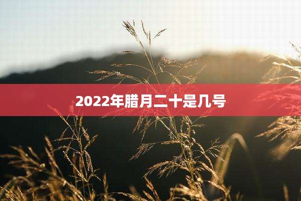 2022年腊月二十是几号