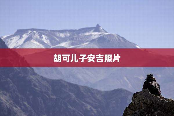 胡可儿子安吉照片