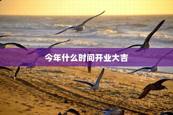 今年什么时间开业大吉