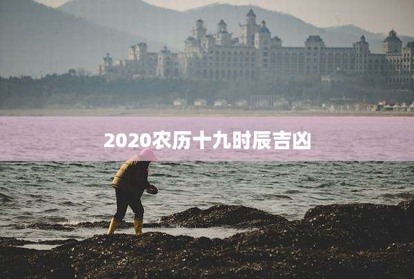 2020农历十九时辰吉凶