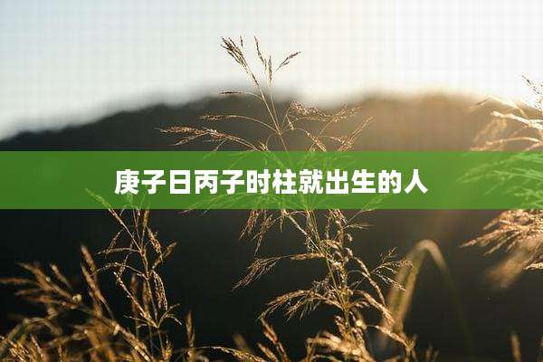 庚子日丙子时柱就出生的人